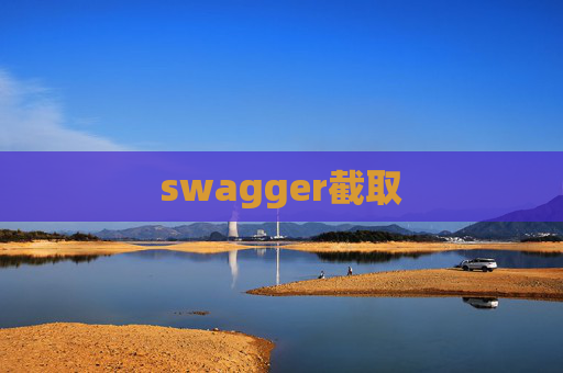 swagger截取