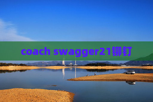 coach swagger21铆钉